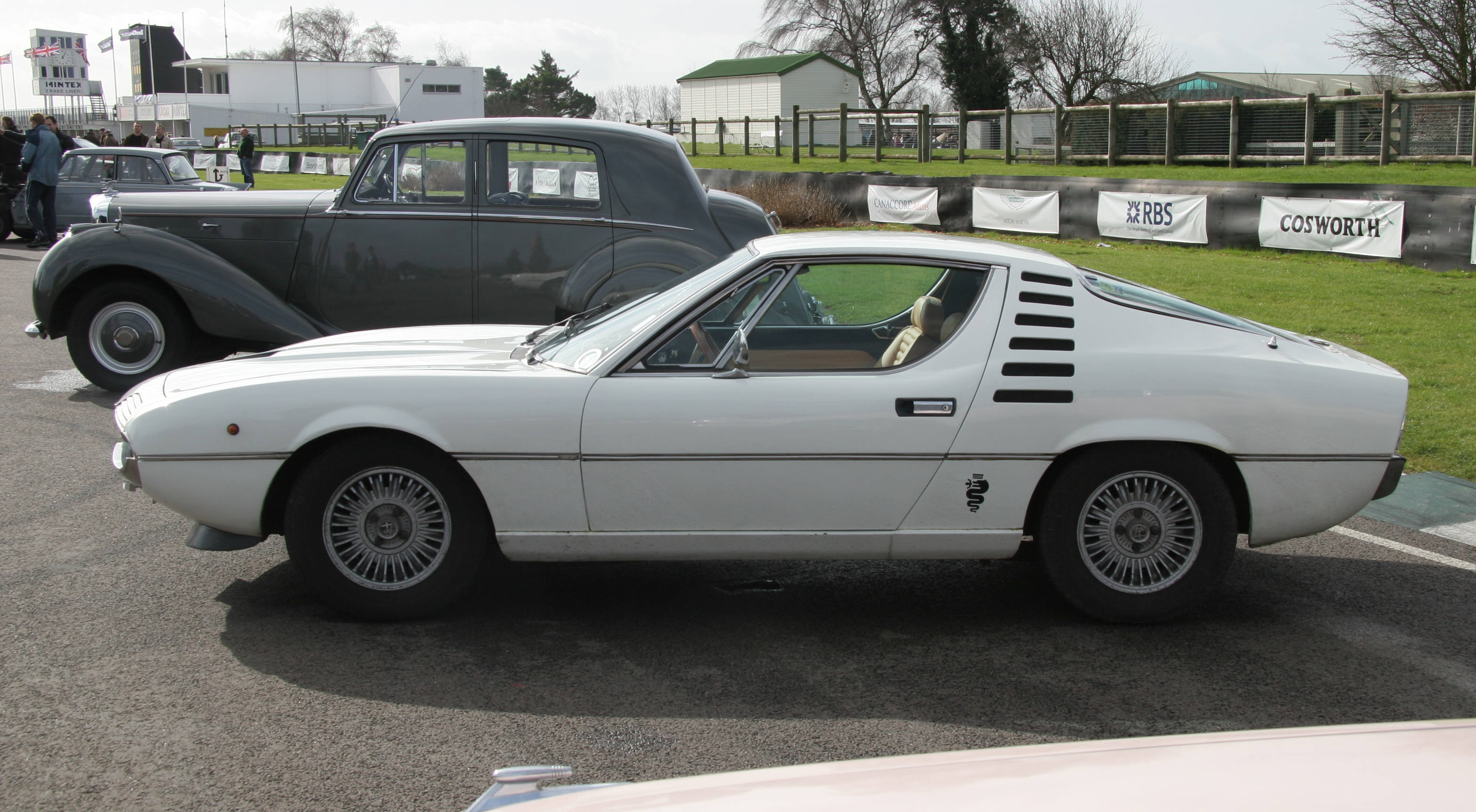 alfa-romeo-montreal-wiki-marvin-brian-snelson