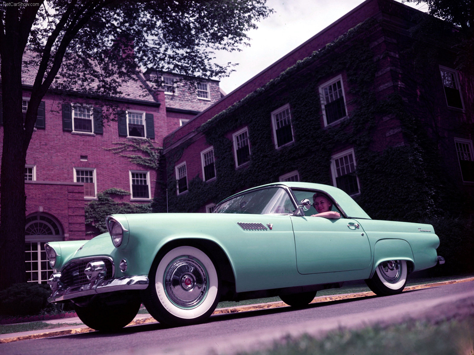 ford-thunderbird-1955