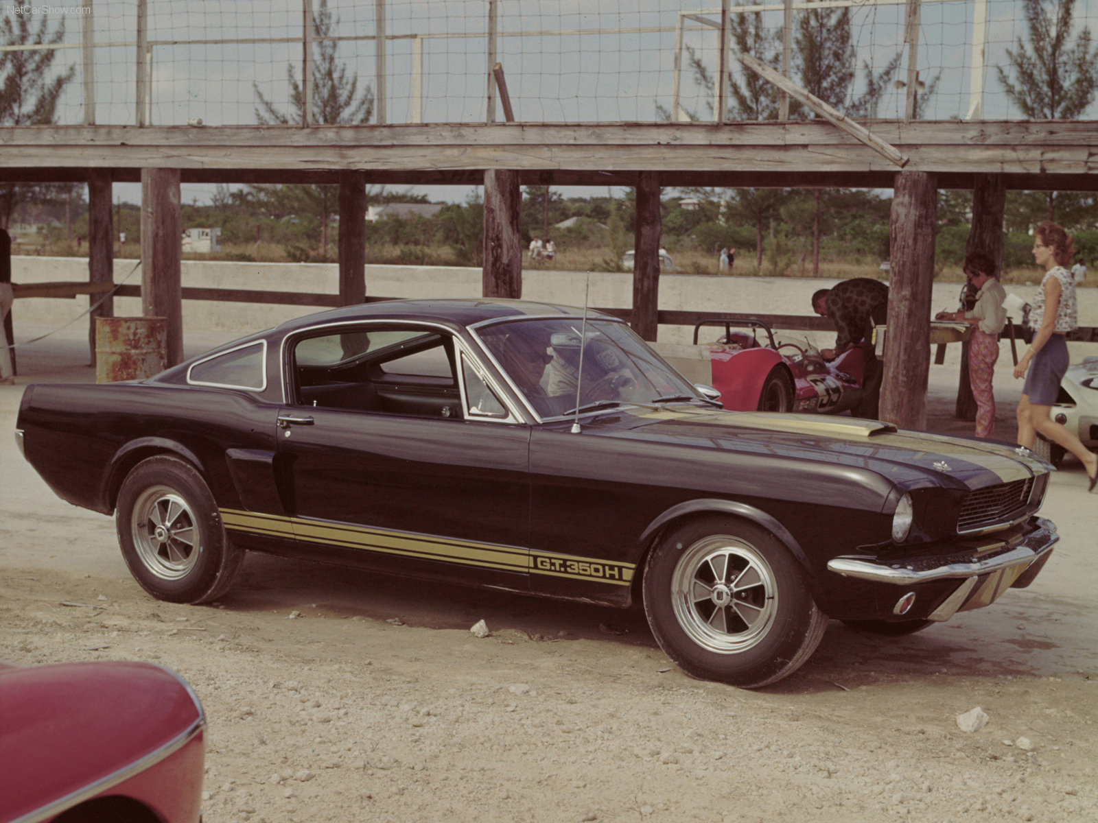 ford-mustang_shelby_gt-350h-1966
