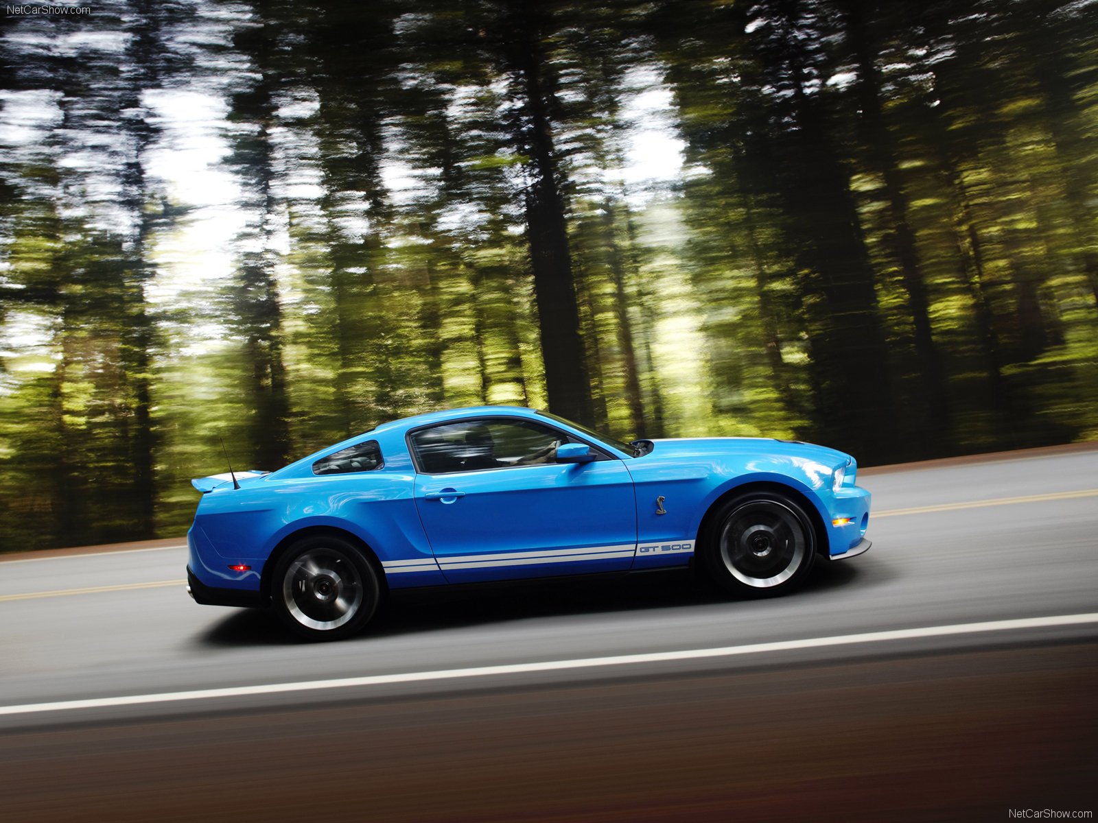 ford-mustang_shelby_gt500-2010