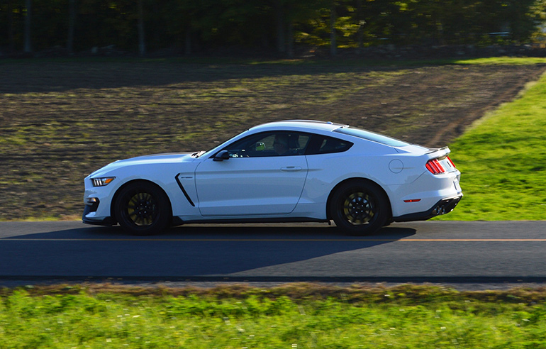 shelby-gt-350-24