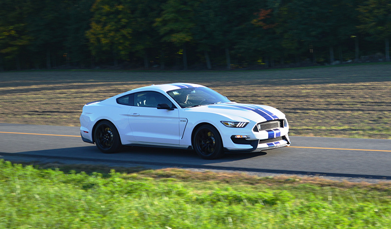 shelby-gt-350-25